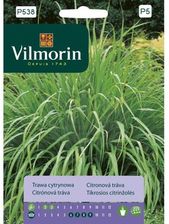Zdjęcie Vilmorin Garden Nasiona Ziół Trawa Cytrynowa - Sejny