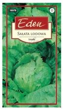 Zdjęcie Nasiona Sałata Lodowa Saladin Eden - Wrocław
