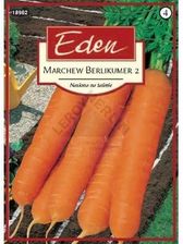 Zdjęcie Marchew Berlikumer 2 Eden - Wolsztyn