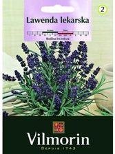 Zdjęcie Lawenda Zioła Eden - Drezdenko