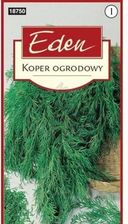Zdjęcie Koper Ogrodowy Warzywa Eden - Lublin