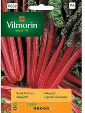 Zdjęcie Vilmorin Garden Burak Liściowy Czerwony Rhubarb Chard - Chojnów