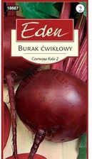 Zdjęcie Burak ćwikłowy Czerwona Kula 2 Eden - Bydgoszcz