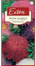 Zdjęcie Aster Chiński Eden - Sejny
