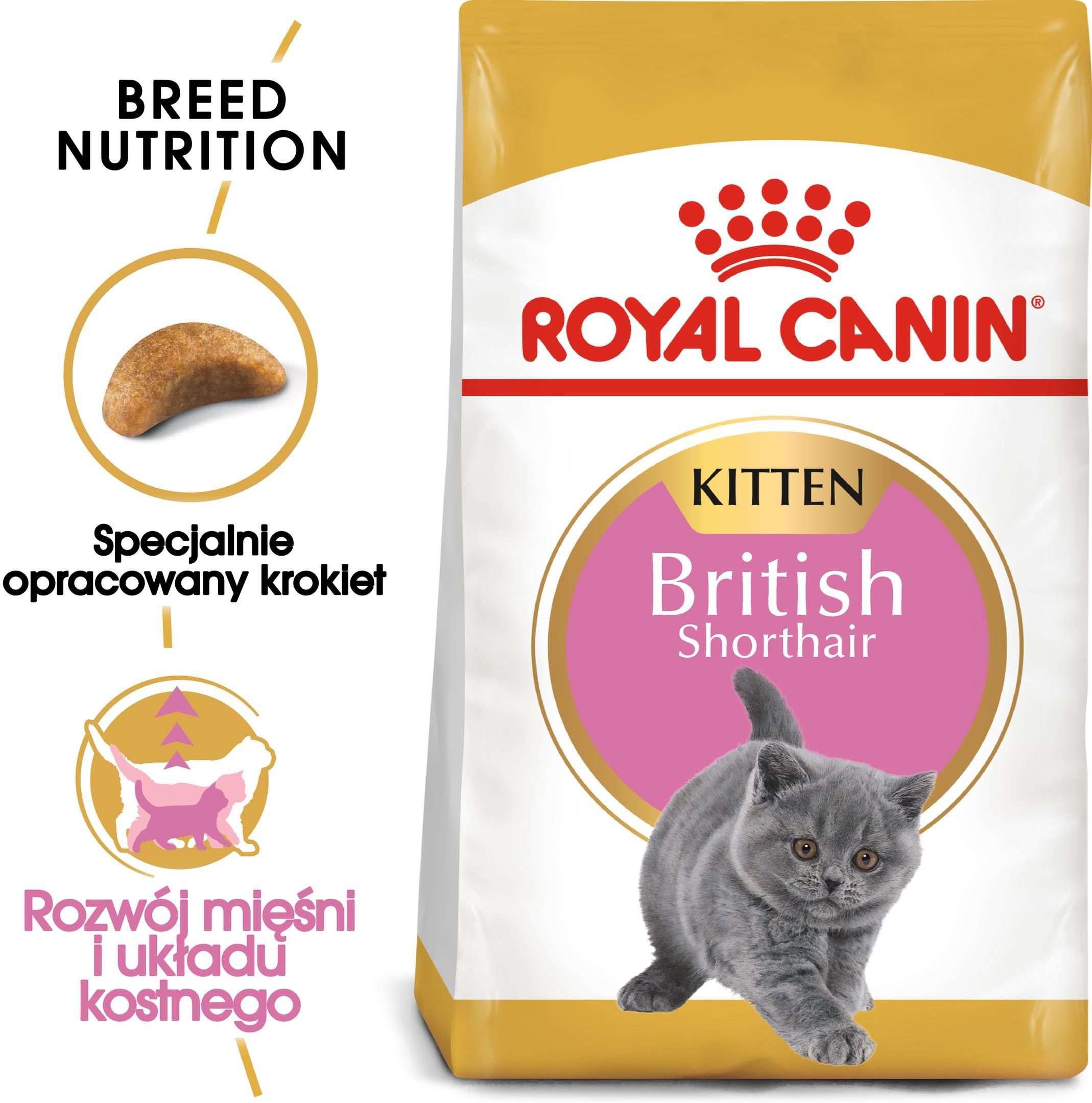 karma-royal-canin-british-shorthair-kitten-2kg-ceny-i-opinie-ceneo-pl