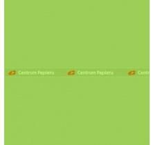 Maestro Color Papier Mondi MAESTRO Color Intensiv - MA42 - zieleń wiosenna (A4/80 g/m2) [MA42]
