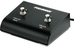 Zdjęcie Fishman do Loudbox Artist ACC-LBX-FSW - Katowice