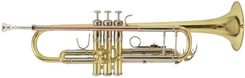 Zdjęcie Bach TR-501 - Świebodzice