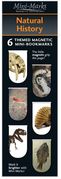 Zdjęcie Zakładka - MiniI Marks - Natural History Magnetic Bookmarks - Warszawa