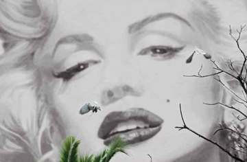 Marilyn a Cannes 175x115cm
