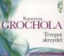 Trzepot skrzydeł Katarzyna Grochola - (Audiobook)