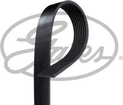 Zdjęcie Pasek klinowy wielorowkowy GATES 8PK2440 - Dębno