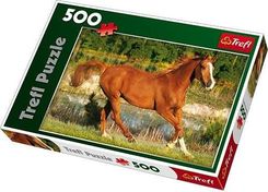 Zdjęcie Trefl Puzzle 500el. Piękno Galopu 37184 - Żuromin