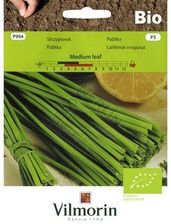 Zdjęcie Vilmorin Szczypiorek Medium Leaf Vilmorin - Pieszyce