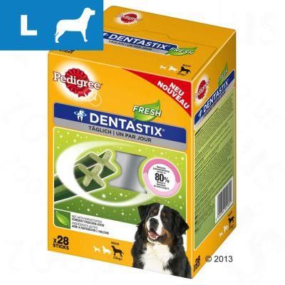 Dentastix fresh hot sale large