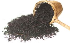 Zdjęcie Earl Grey - Babimost