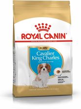 Karma dla psa Royal Canin Cavalier King Charles Puppy 1,5kg - zdjęcie 1