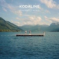 Kodaline - In A Perfect World (Winyl)