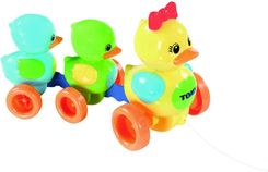 Zdjęcie Tomy Drepczące Kaczuszki Tmy4613 - Nowy Dwór Mazowiecki