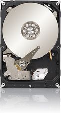 Zdjęcie Seagate NAS HDD 2TB 3,5" (ST2000VN000) - Kraków