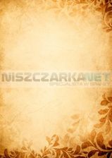 Zdjęcie Argo Kobra Dyplom Amber - Opk 25 Szt A4 - 170G/M2 215517 - Tomaszów Mazowiecki