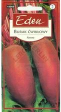 Zdjęcie Eden Burak ćwikłowy Forono - Dobre Miasto