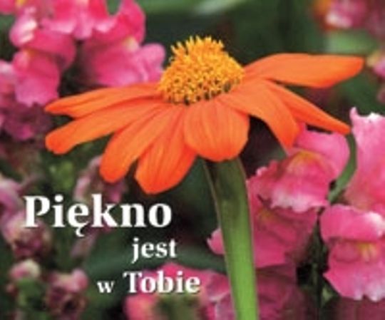 Happy Uroda Piekno Jest W Tobie Piękno jest w Tobie - Ceny i opinie - Ceneo.pl