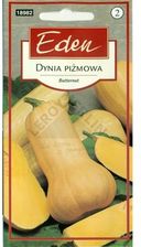 Zdjęcie Eden Dynia Piżmowa Butternut 20 G - Wolsztyn