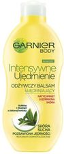 Zdjęcie Garnier Body Intensywne Ujędrnienie Odżywczy Balsam Ujędrniający 400 ml - Bodzentyn