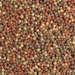Tropical Pływający pokarm podstawowy dla ryb w oczku wodnym POND PELLET MIX SIZE M 1000ml / 110g