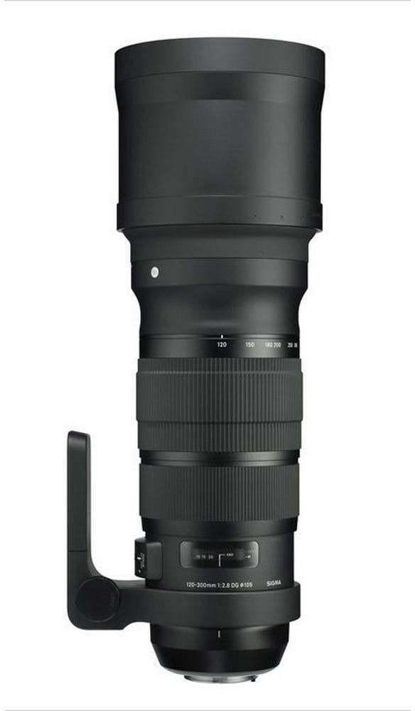 まっくすうぇるきゃっと さん専用120-300mm F2.8 DG OS HSM まっくすうぇるきゃっと さん専用120-300mm F2.8 DG OS HSM