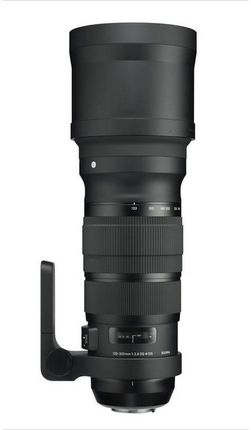 Sigma EX 120-300mm f/2.8 DG OS HSM (Canon)