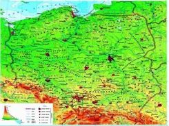Derform Mapa Podkład Oklejany Polska Fizyczna [408182] - Ceny i opinie -  Ceneo.pl
