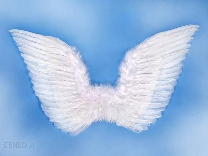 Skrzydła anioła białe 70 x 50 cm SK3-008 - Ceny i opinie - Ceneo.pl