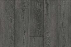 Zdjęcie Parador Dąb Srebrno Szary 1298166 - Wrocław