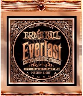 Ernie Ball EB 2546 (12-54) Everlast Coated Phosphor Bronze Acoustic