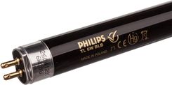 Zdjęcie Philips Tl 6W Blb 1fm 8711500950987 - Siechnice