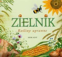 Zdjęcie Zielnik. Rośliny uprawne - Koźmin Wielkopolski