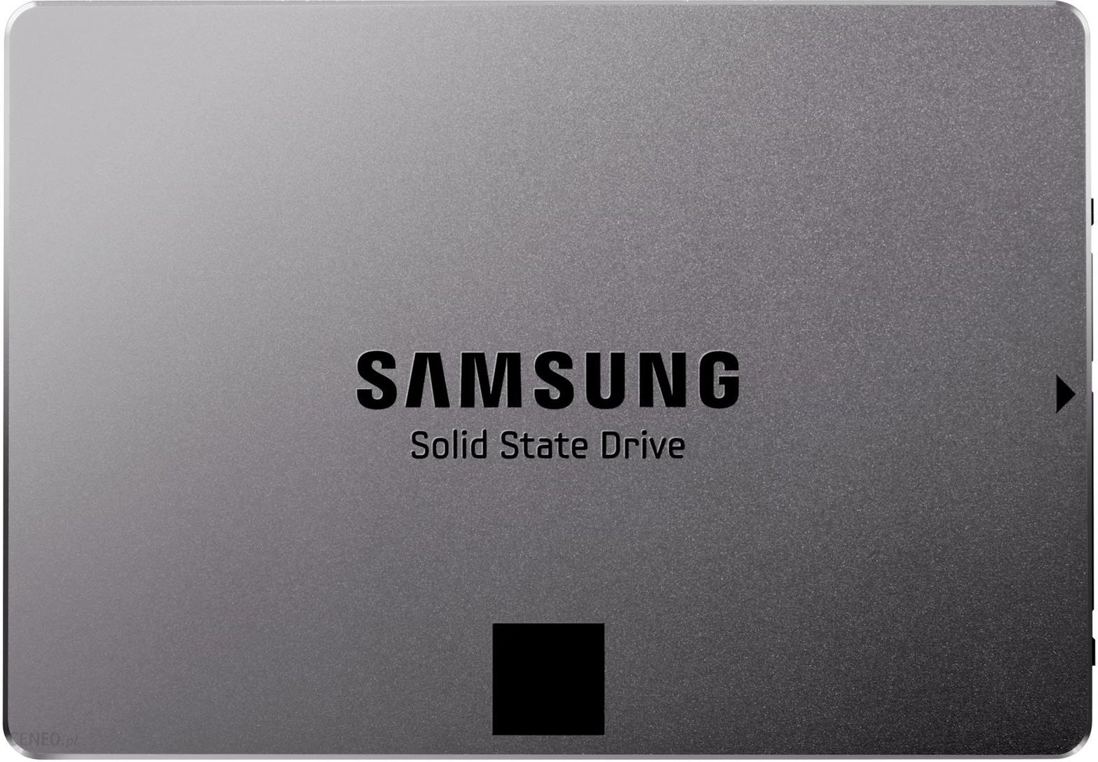 Samsung 840 EVO 250GB Basic (MZ-7TE250BW)