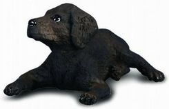 Zdjęcie Collecta Zwierzęta domowe Szczeniak Labrador (88077) - Sulęcin