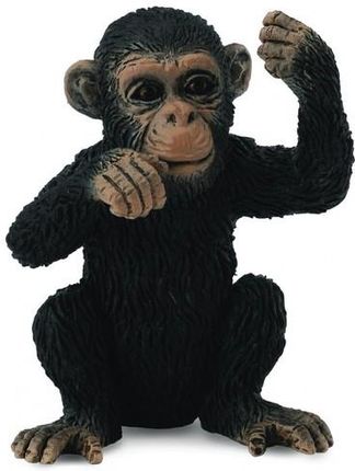 Collecta Zwierzęta dzikie Szympans Młody Myślący (88495)