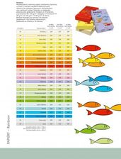 Zdjęcie PAPYRUS Papier Rainbow A4 80g ciemno czerwony R28 - Łomianki