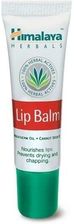 Zdjęcie HIMALAYA HERBALS LIP BALM balsam do ust 10g - Małomice