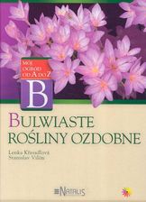 Zdjęcie Bulwiaste rośliny ozdobne - Wysokie Mazowieckie