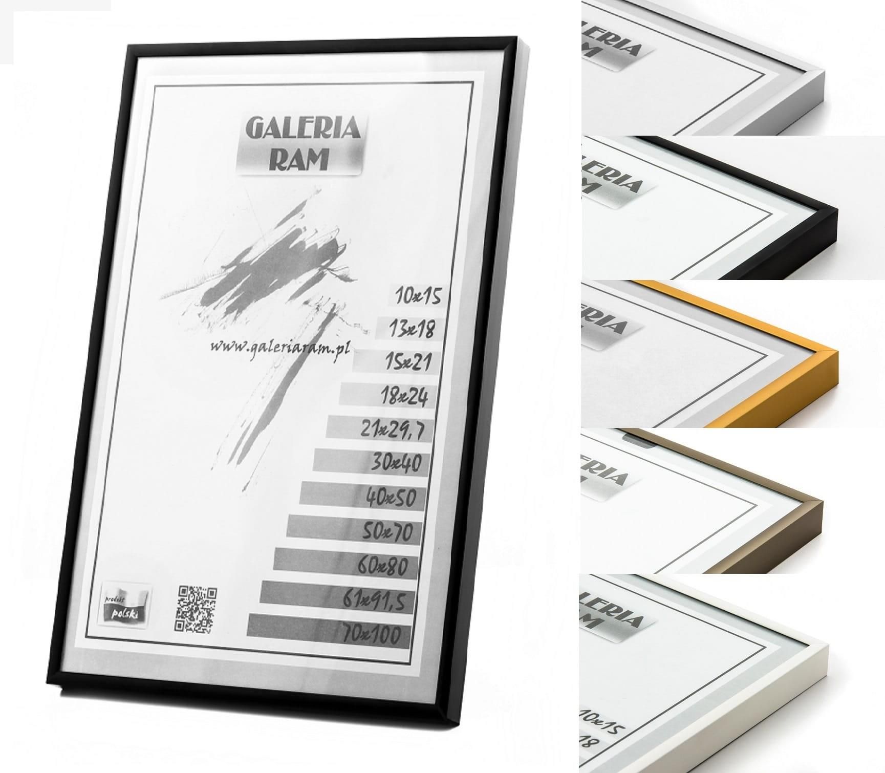 Galeria Ram Rama aluminiowa - ALU G - na WYMIAR - zdjęcie 2 Galeria Ram Rama aluminiowa - ALU G - na WYMIAR