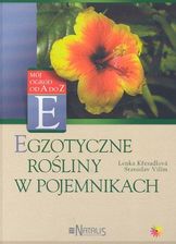 Zdjęcie Egzotyczne rośliny w pojemnikach - Barcin