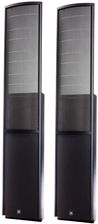 Zdjęcie Martin Logan EFX - Kościan