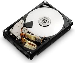 HGST HUS724020ALS640 2 TB (0B26887)