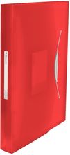 Zdjęcie Esselte TECZKA Z PRZEGRODKAMI VIVIDA CZERWONY - Tychy