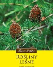 Zdjęcie Rośliny leśne - Goniądz